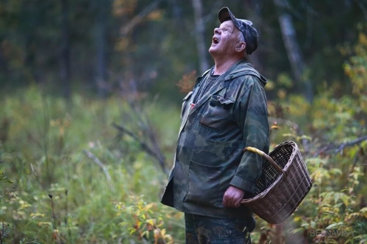    В Башкирии за сутки потерялись два пенсионера