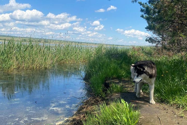 Фото: ИА "Хакасия" 