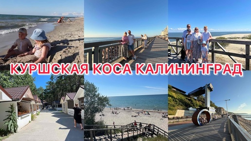 VLOG🇷🇺: СВЕТЛОГОРСК/ КУРШСКАЯ КОСА-ДЮНЫ/ Танцующий лес 🌳КАЛИНИНГРАД