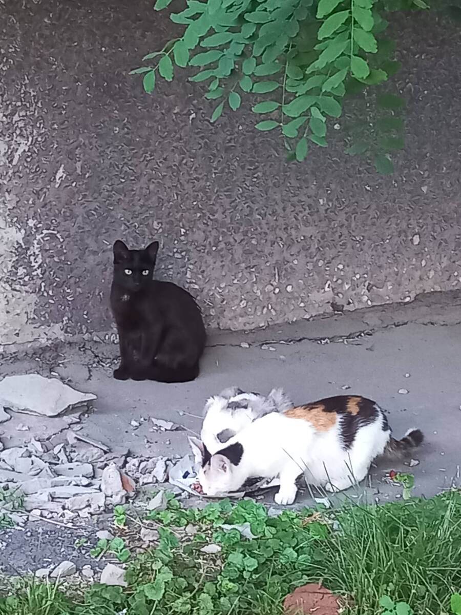 Фото автора