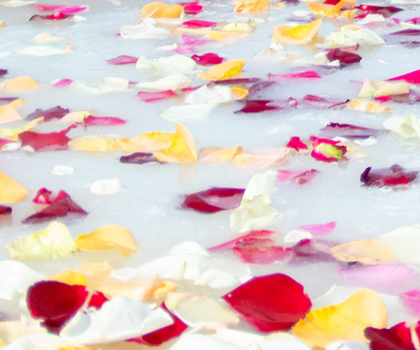 Купель Клеопатры с молоком и лепестками роз