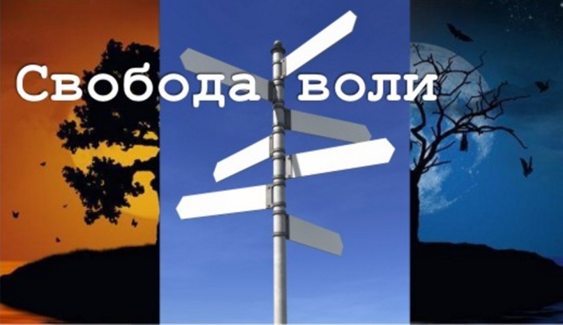 свобода воли