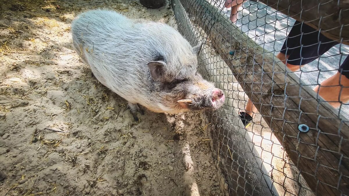     Источник: 1MI