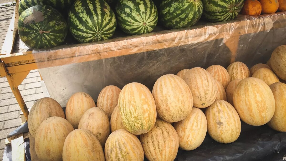     Источник: 1MI