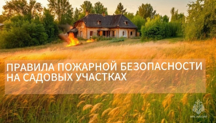    Фото: Пресс-служба Управления по ЗАО ГУ МЧС России по г. Москве