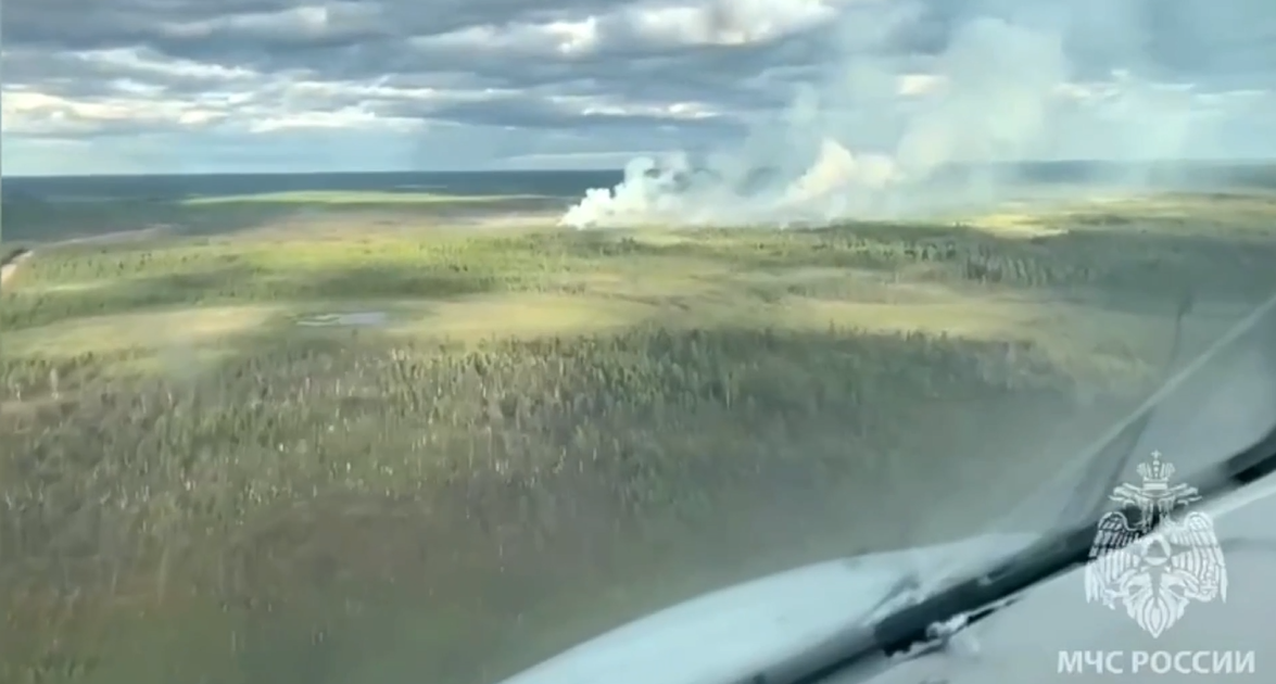 Природный пожар в Якутии
Фото: МЧС России 