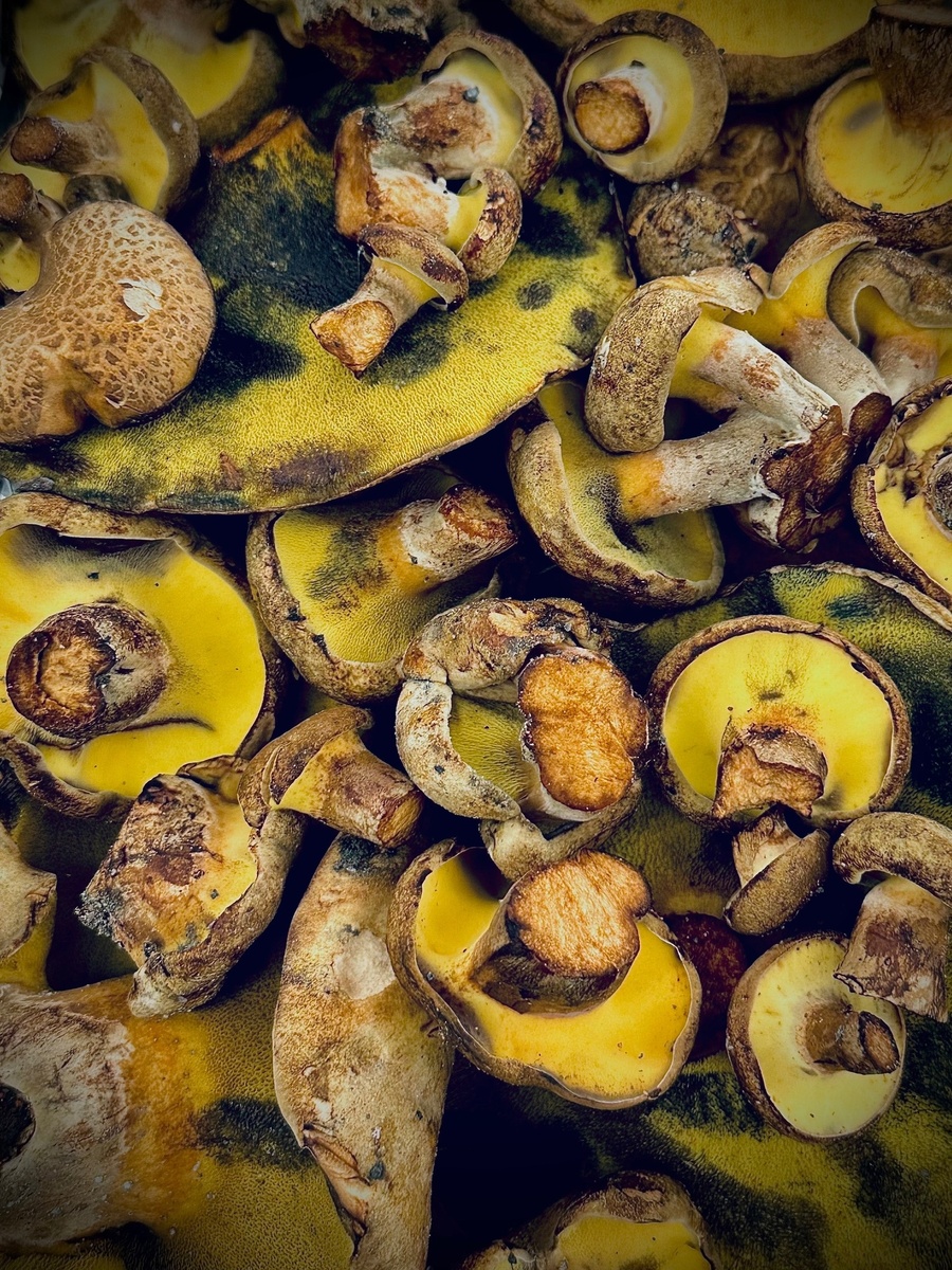 Фото Наталия Архипова 