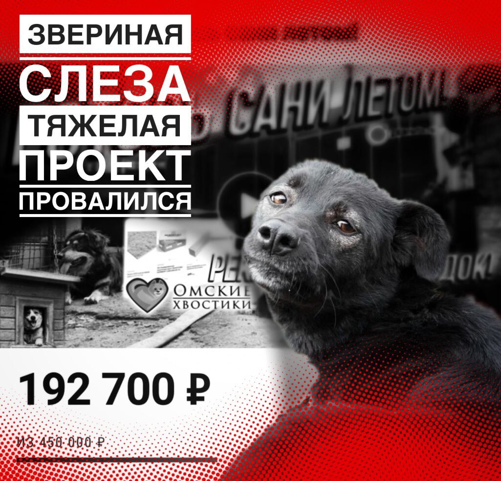  Здесь они заложники заборов... Выпуск собак этой осенью...