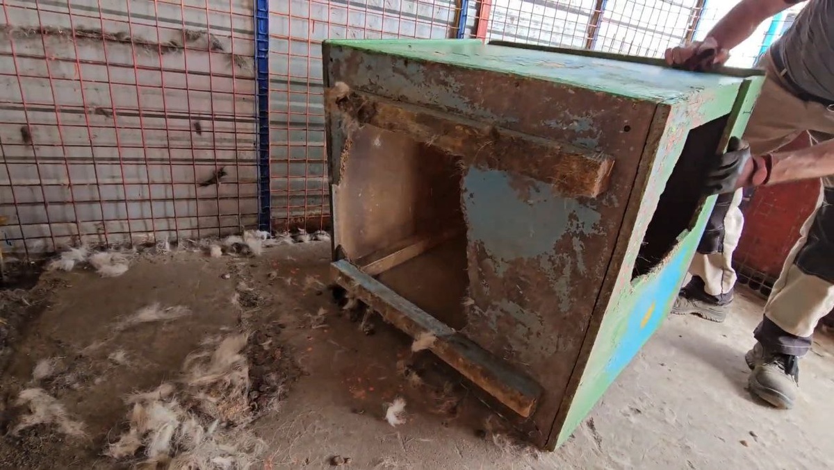 Мы С УЖАSОМ ждём осень , затем зиму.