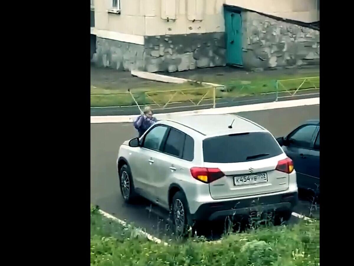    Нападение пенсионерки на припаркованные автомобили© соцсети