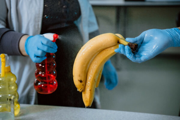    Фото: В. Жарковская, пресс-служба НГТУ НЭТИ