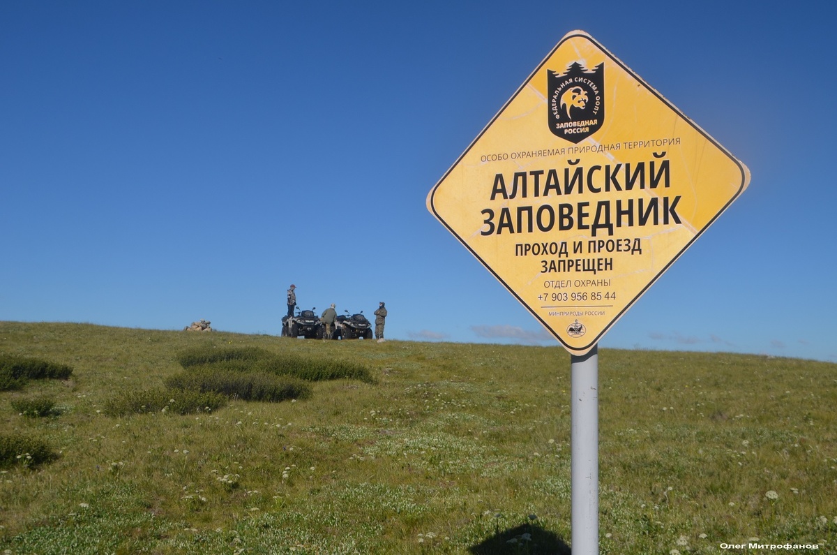 на границе заповедника
