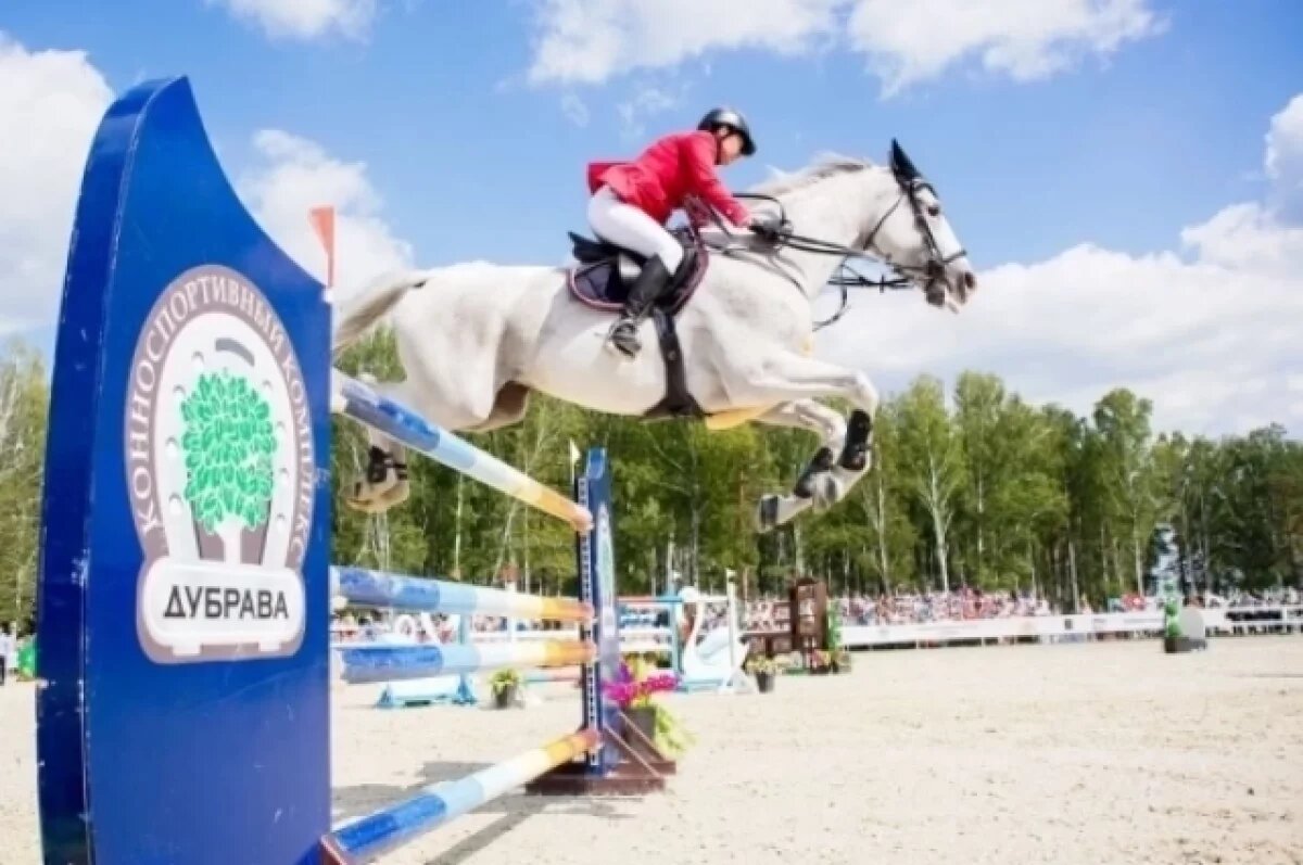    Кубок губернатора Свердловской области по конкуру пройдет 27-28 июля