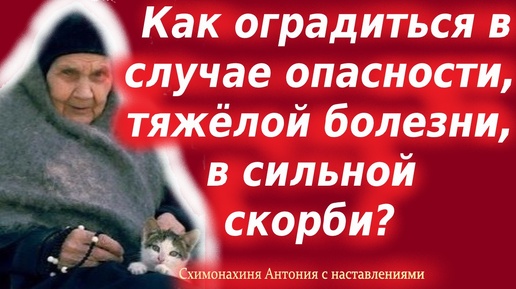 ВСЕХ СВОИХ БЛИЗКИХ, знакомых, просите читать “Живый в помощи”, чтобы только спасти человека -советовала старица Антония