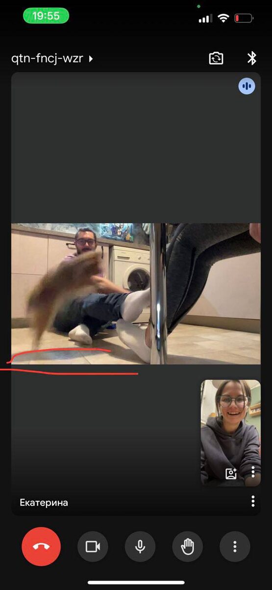 Скриншот с тренировки. Учим Оливку перепрыгивать через припятствие.