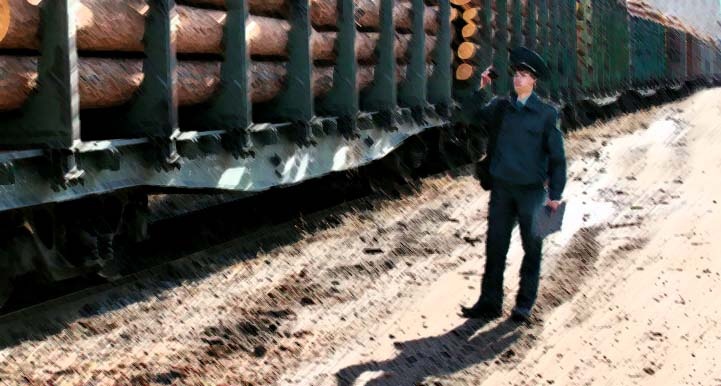 Эх, таможня!