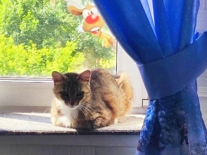 Дуся с нами уже 4 месяца, но её сердечко до сих пор не оттаяло