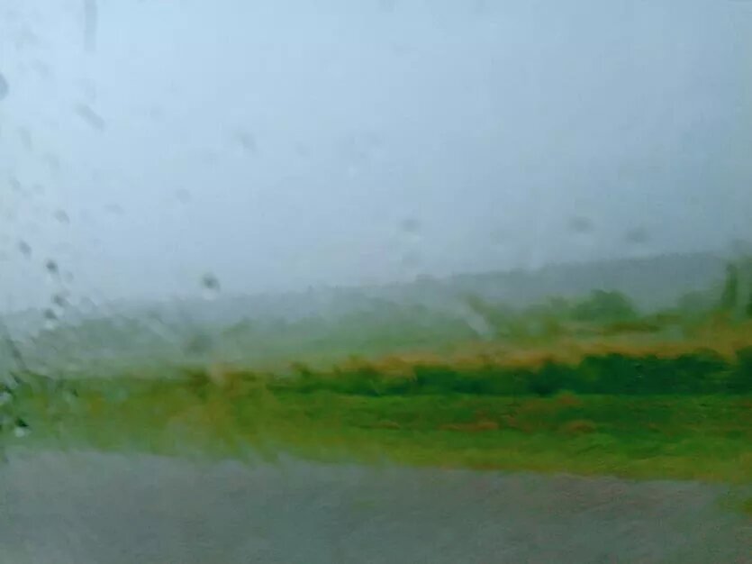 Фото: Евгения Александрова