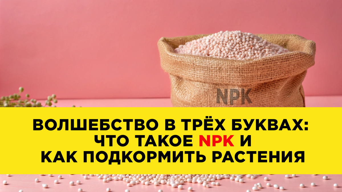 Что такое NPK?