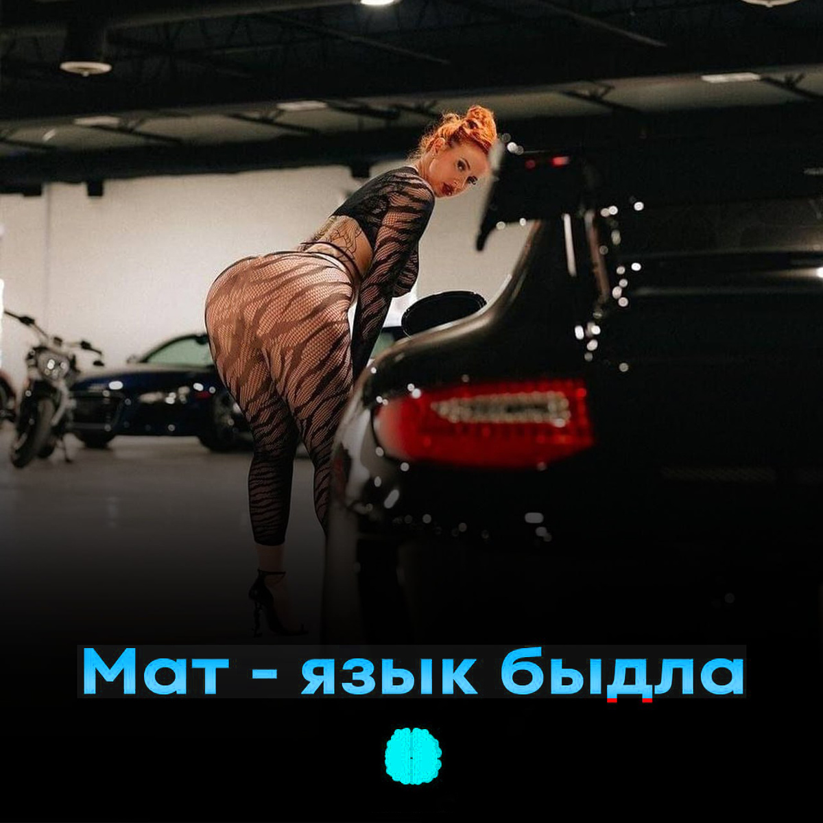 Мат - язык быдла