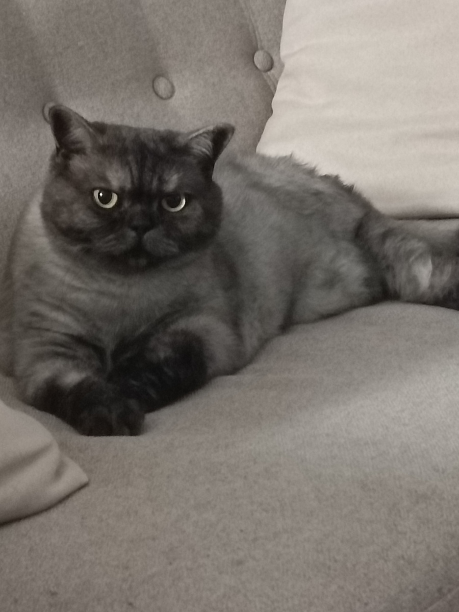 Как будто я перед ней в чëм-то провинилась🤣