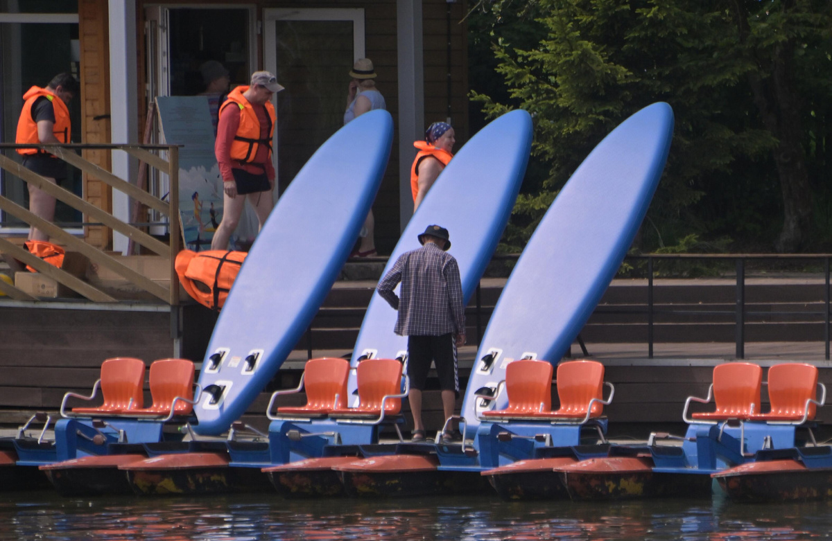 Так выглядят SUP-борды - доски, на которых передвигаются по воде © Sputnik / Владимир Федоренко