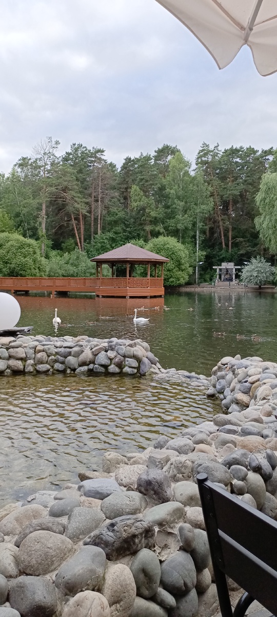 Лебединое озеро