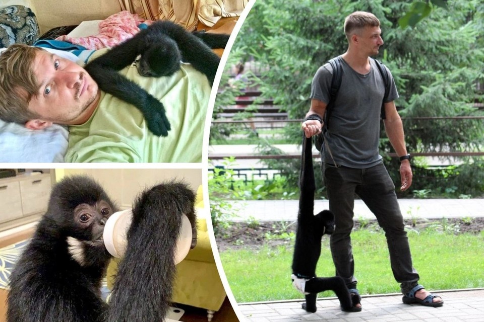    Билли освоился в зоопарке и не скучает по Дмитрию. Фото: предоставлено Дмитрием.