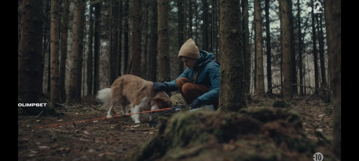 Кадр из фильма. 