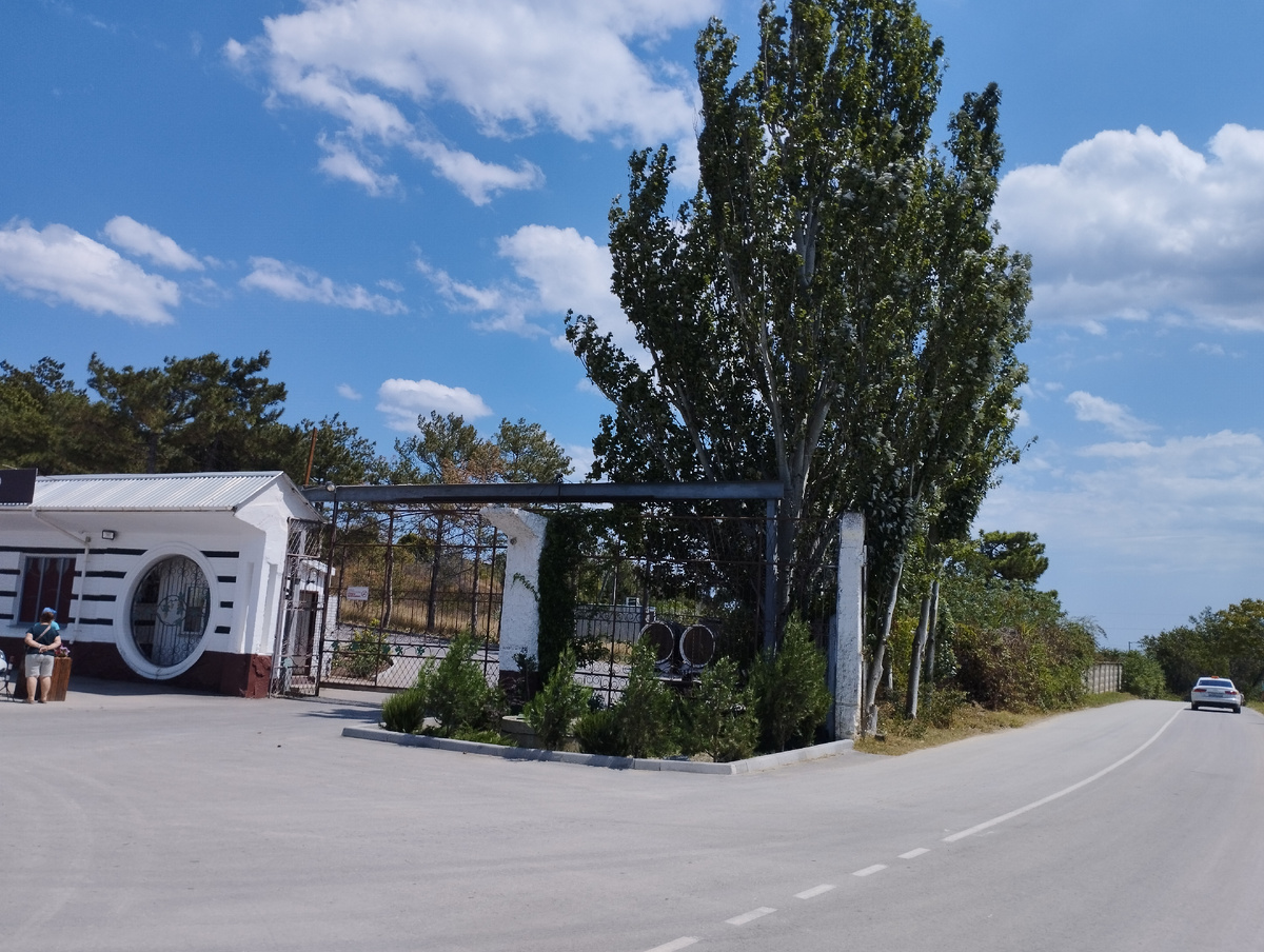 Фото автора канала