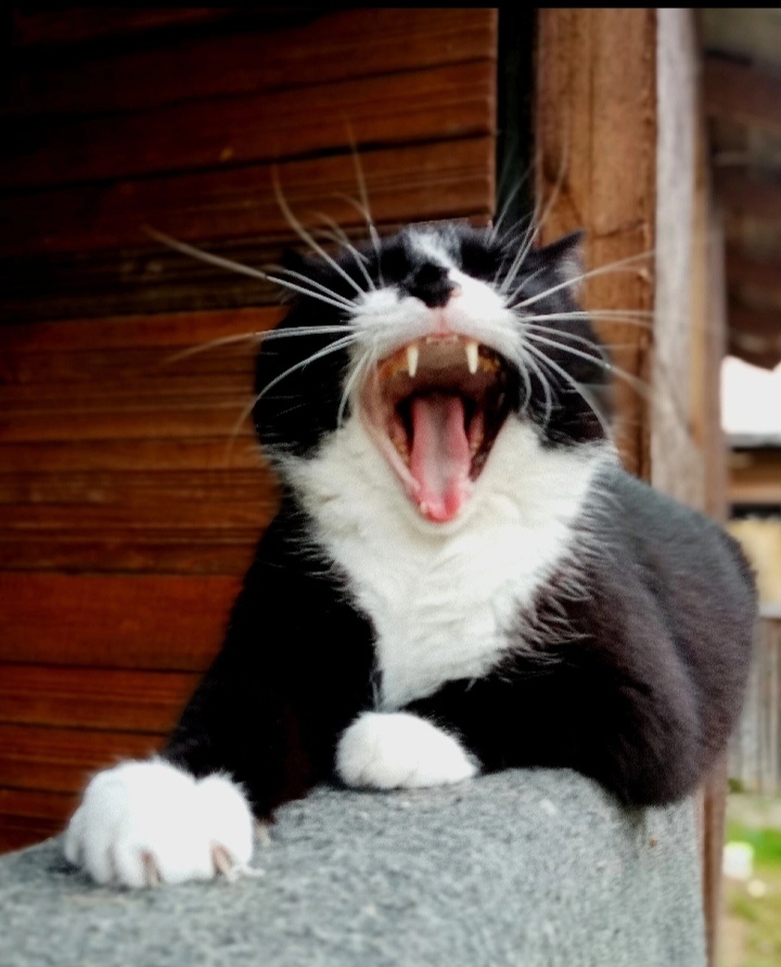 Фото из интернета 