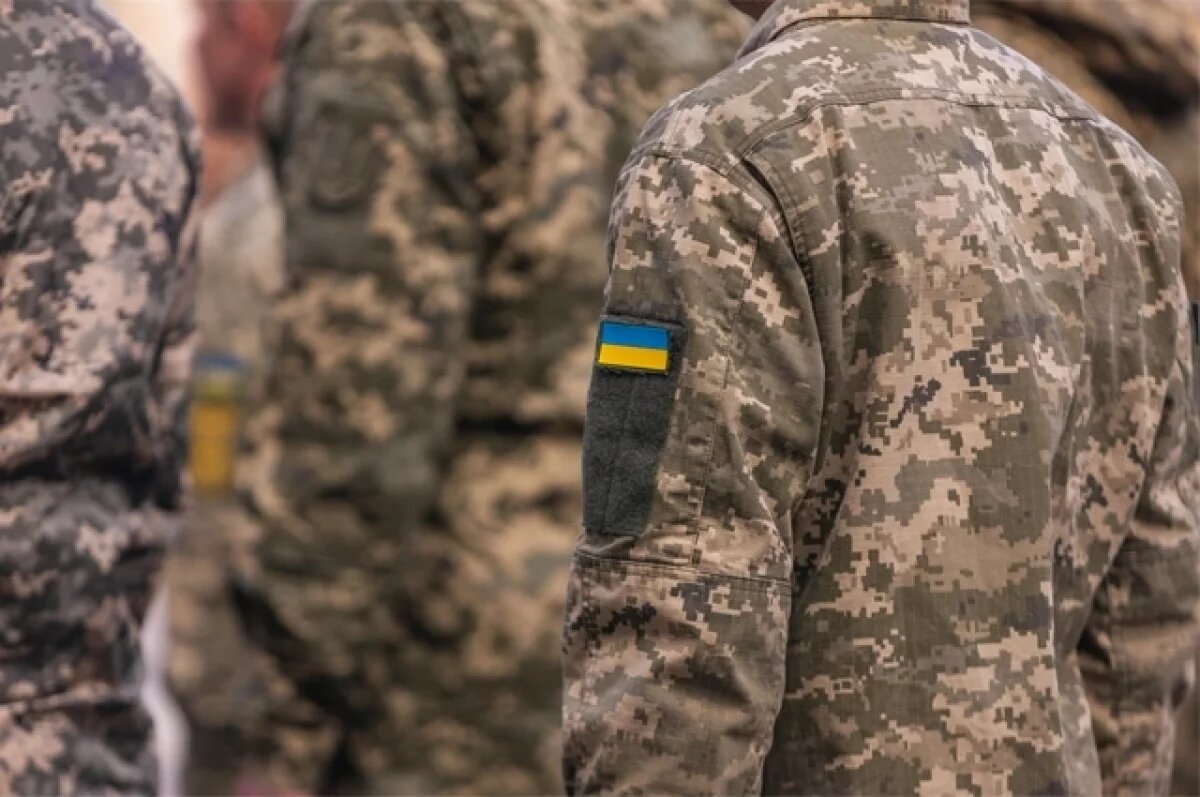    Допросить и в тюрьму.