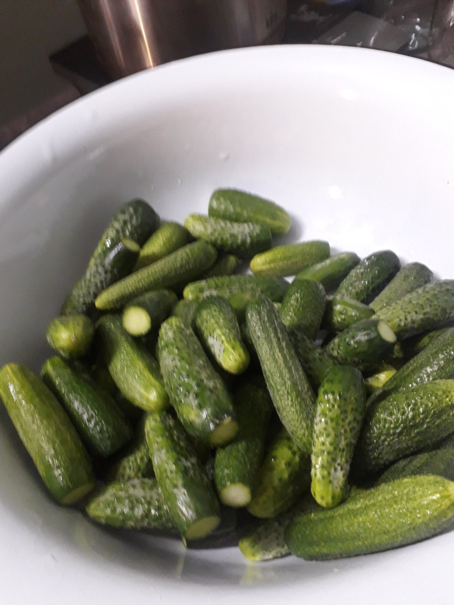 Здесь в тазу огурцов на 6 литровых банок - моё фото