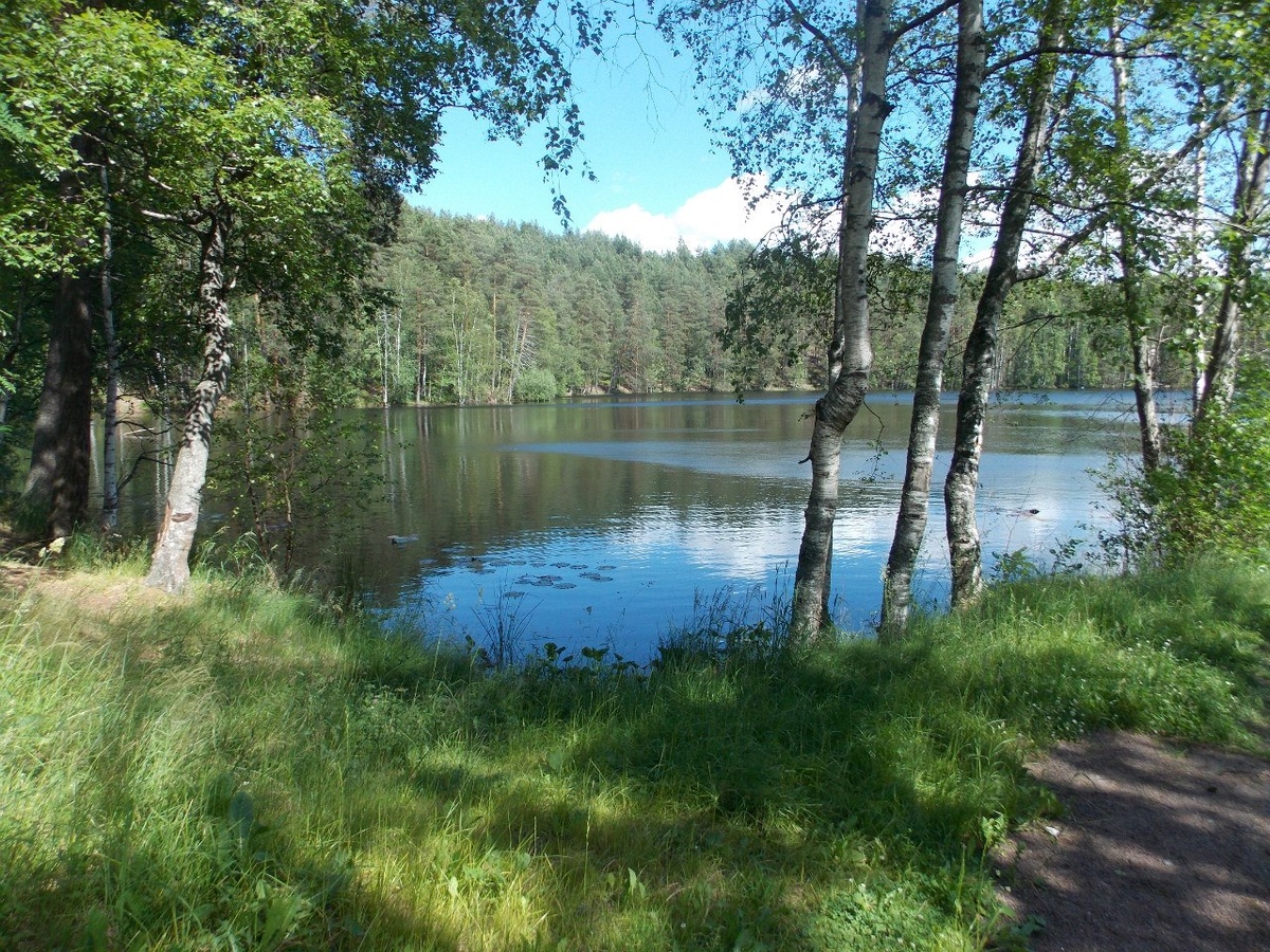 Куда приводят изменения в траектории пути. Вспоминаю сейчас 2013. Год больших изменений для меня. В полном профессиональном отчаянии и потери смыслов, не понимании, куда идти?
Уже ясно, что гештальттерапия мне совершенно не подходит, а куда дальше?
На основе пройденного опыта я точно знаю, что после беспросветного отчаяния и проживании бессмысленности случается неожиданный выход.
Я в первый раз тогда взяла онлайн билет на самолёт, это была поездка на интенсив «Мужество быть» с Ириной Млодик.

Я почти сразу поняла, что экзистенциальное направление в терапии, это именно то, что мне необходимо сейчас.
Как показала жизнь, всё проверено на практике, я попала в «свою стаю».
Далее было много всего, учёба на «Неспешности и Подлинности», ещё один интенсив «Мужество быть», 5 лет работы с Анной Смирновой на «Добаюкивании» и много разной жизни .

Но сейчас не об этом.
Завтра я еду отдыхать в компании 8 чудесных коллег, нас трое из всё той же тусовки, с интенсива, мы так и дружим все эти годы.
Иногда общение прерывалось, вот сейчас мы стали опять ближе друг другу.
Мой пост о том, что порой совершенно не ясно во что и как выльется кризис пути.
Меня он привёл в чудесное место к коллегам, с которыми можно говорить на одном языке. Вместе смеяться (Зачёркнуто. Ржать так, что содрогались брёвна очень крепкого деревенского дома. Особенно тогда, когда я делала попытки просветить коллег про основы плейбэка 😊

У нас богатая развлекательная программа, раскрывать всё не стану, отпускаю ожидания, сюрпризы точно случатся, я уже чувствую и предвкушаю неопределённость.
Благодарю свою интуицию, я впервые за 10 лет взяла Москву билет на поезд, потому что с насморком на самолёте летать, кто пробовал, это жесть.

В общем, разные приключения у меня начинаются. По мере сил, напишу, какие.

Фото с того благословенного места, 2013.
