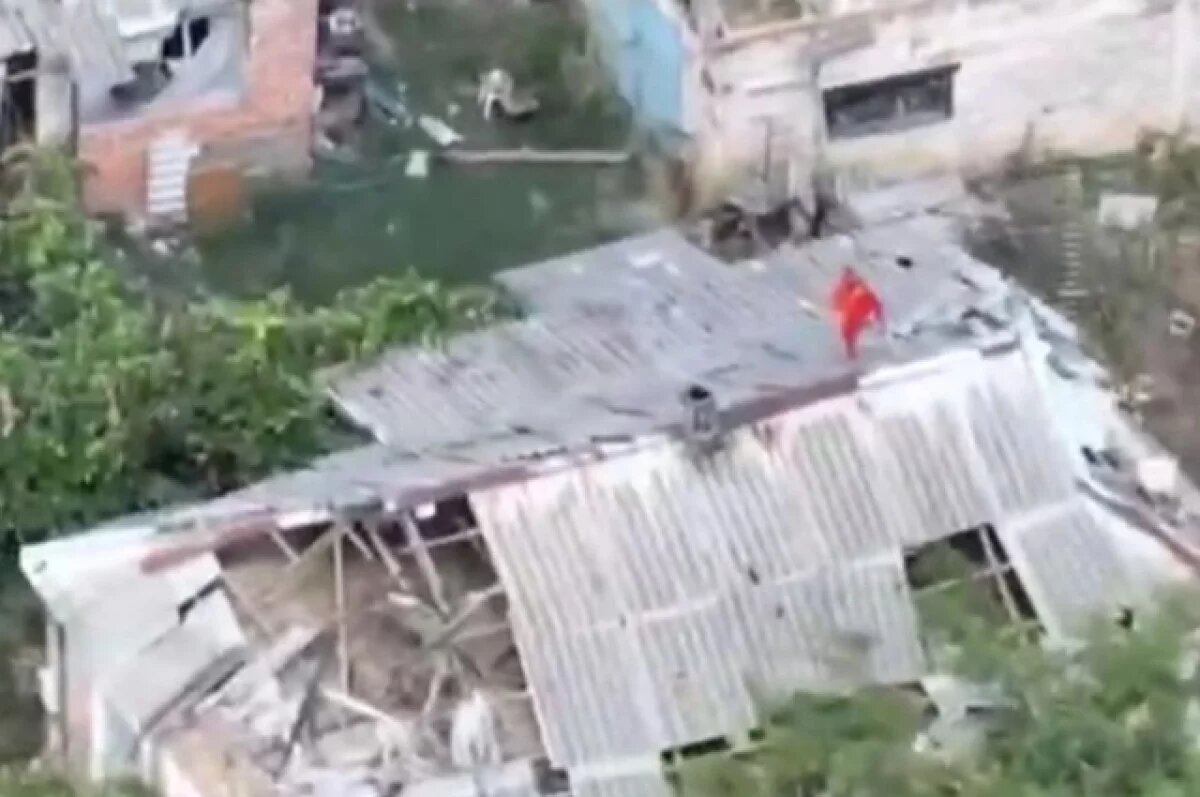    Бойцы ВС РФ подняли флаг Победы в освобожденном селе Новоселовка Первая