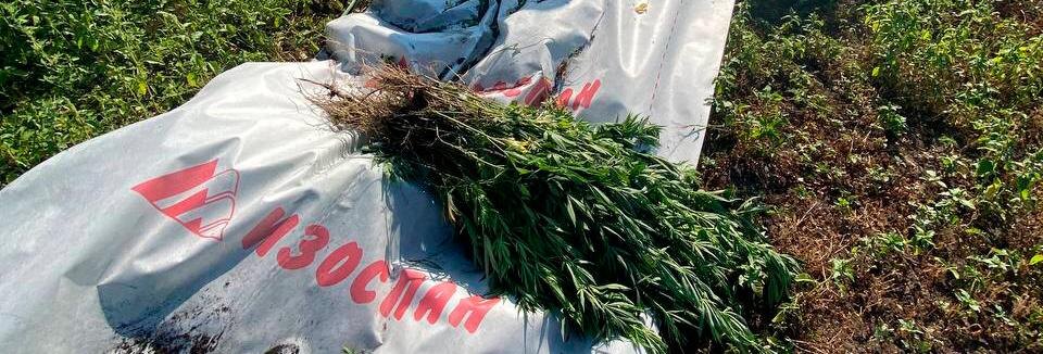    Фото: УМВД Белгородской области