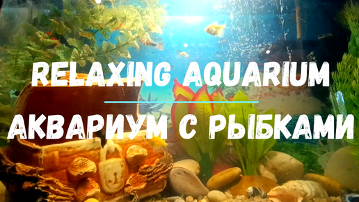 Relaxing aquarium. Аквариум с рыбками