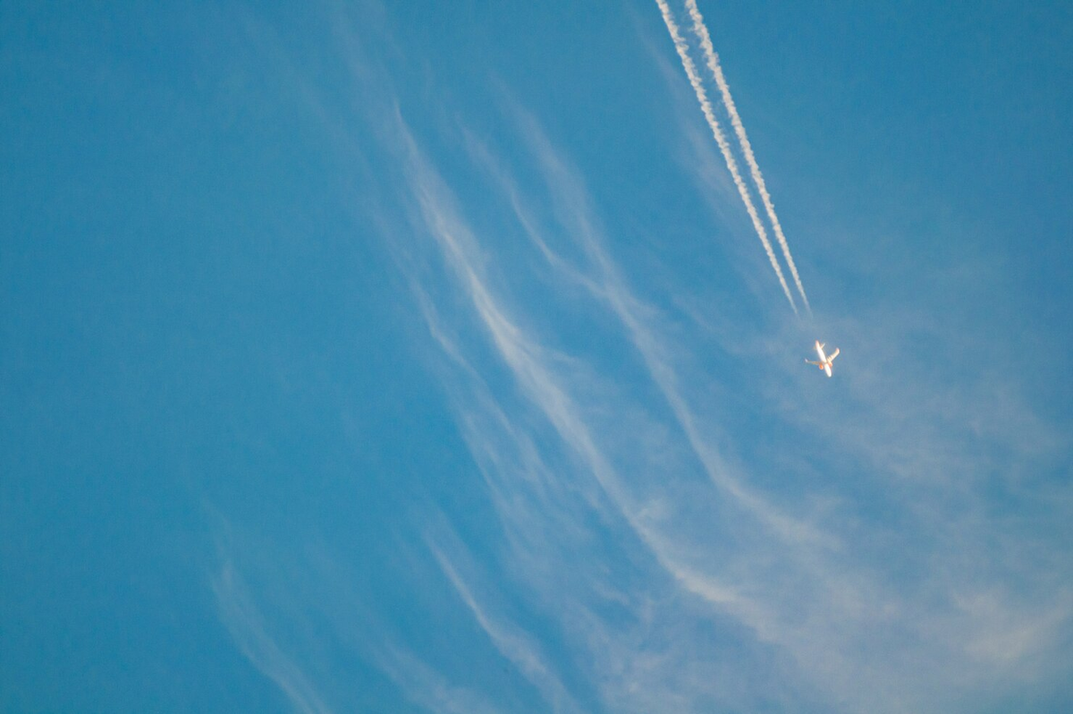 Фото: ru.freepik.com