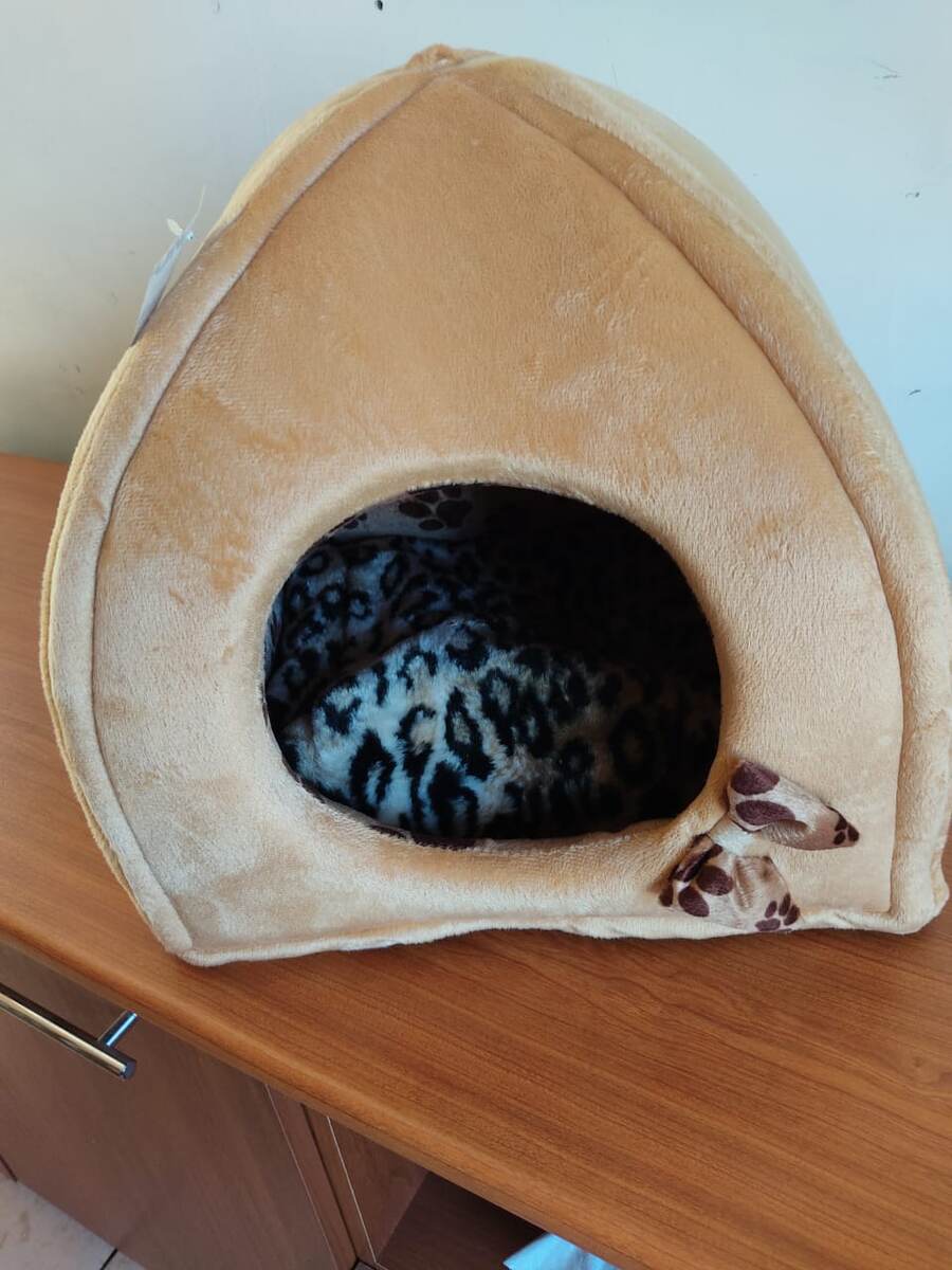 Домик для Симки (я её называю ещё малявкой)