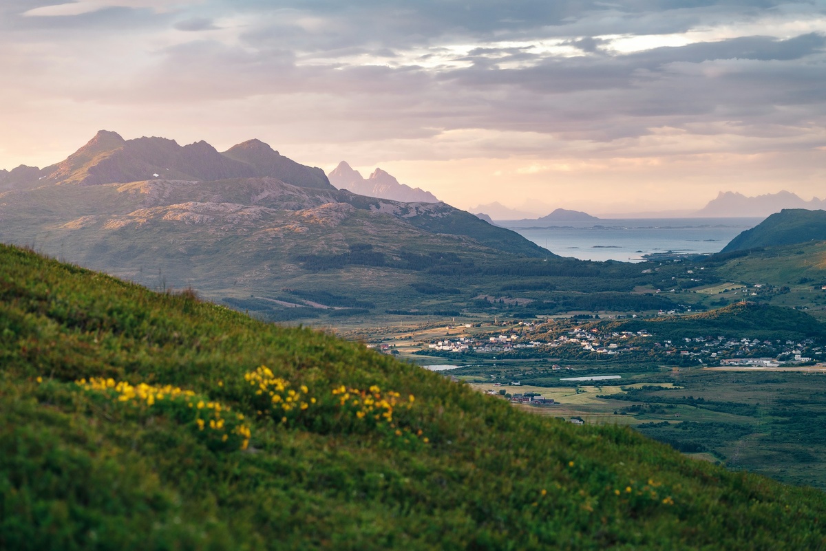 Фото с бесплатного фотостока https://unsplash.com, автор Daniel Seßler