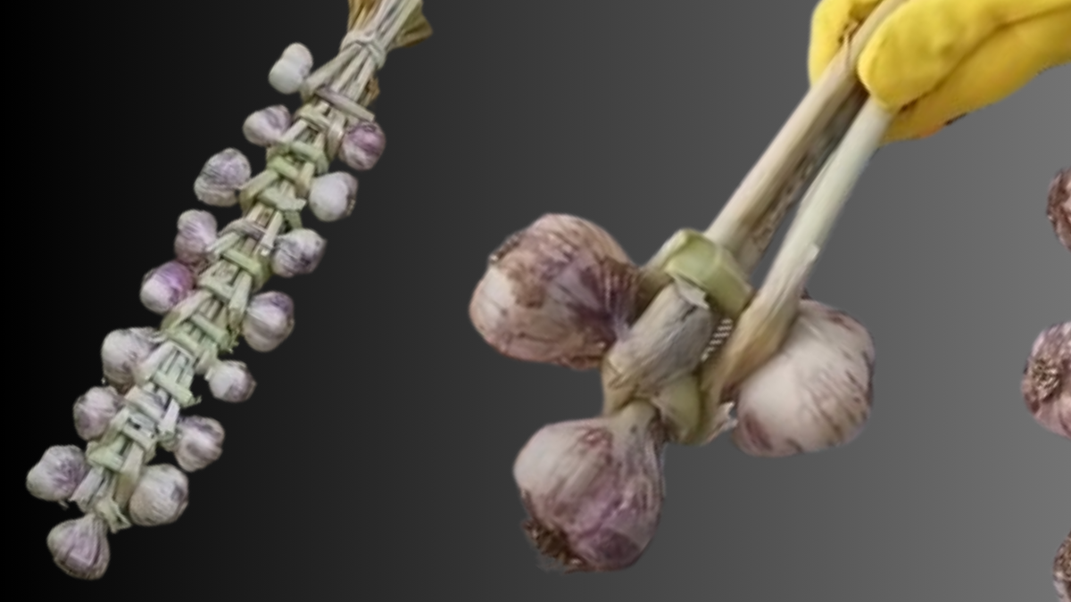 Плетение кос из чеснока