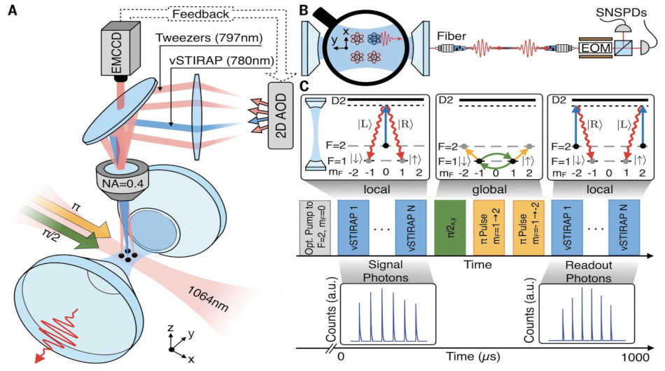   Lukas Hartung et al. / Science, 2024