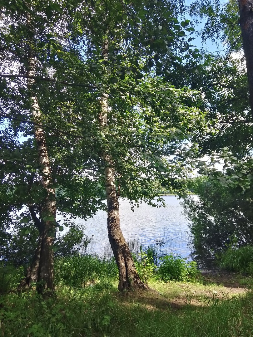 Белое озеро в Белоозёрском. Фото автора.