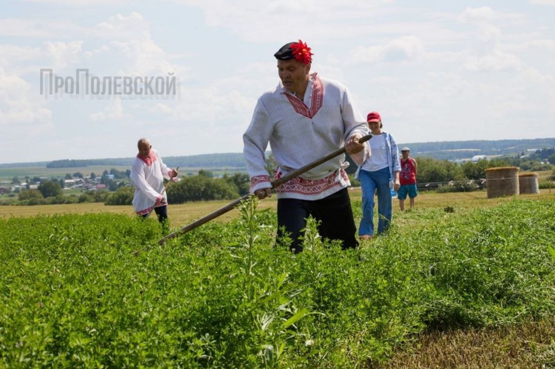 Турнир косарей входит в топ-10 наиболее ярких мероприятий событийного туризма в регионе