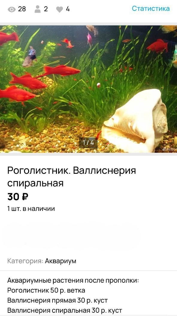 Фото из архива Авито