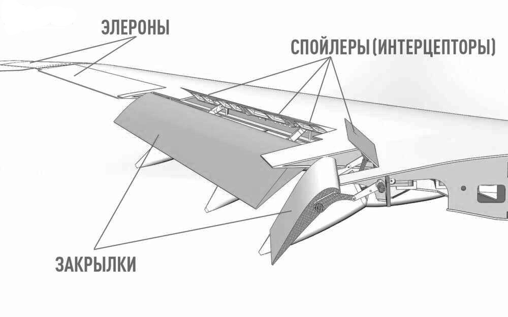 Схема строения крыла