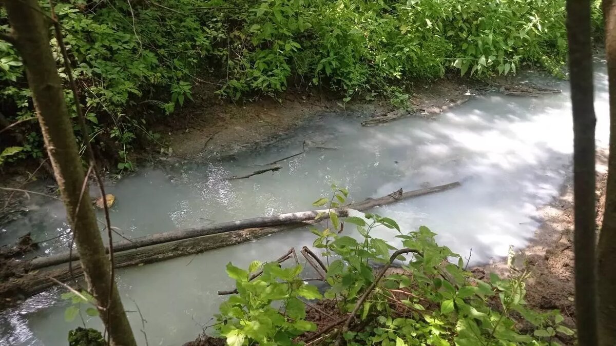     Источник: минэкологии Татарстана