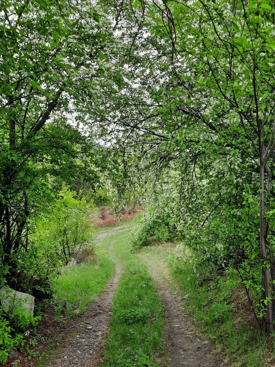 Фото автора