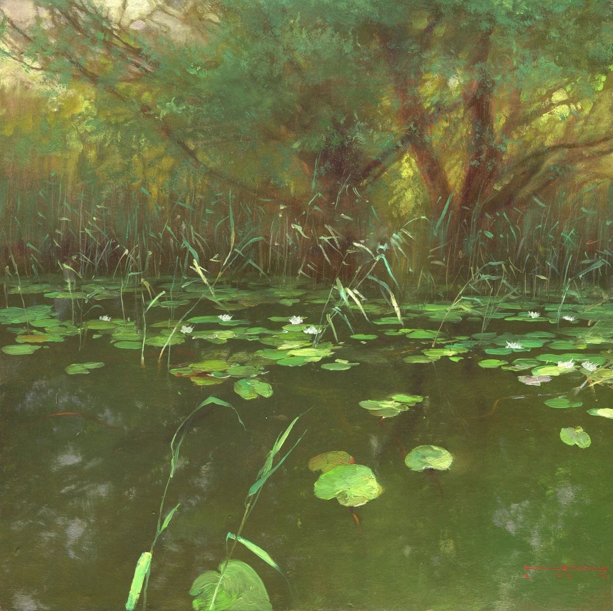 Иллюстрация - Денис Коробков "Кувшинки"