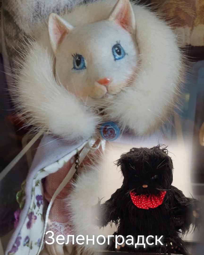 Модель для обложки